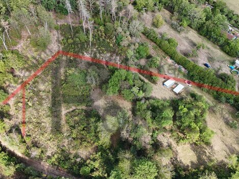 Prodej stavebního pozemku 12361 m² Bezděkov - Struhadlo